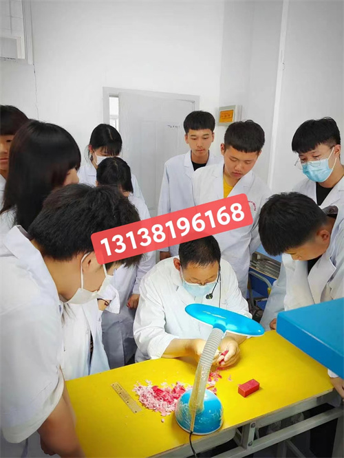 石家莊白求恩醫(yī)學(xué)院升學(xué)對(duì)口高考和單招有什么區(qū)別？