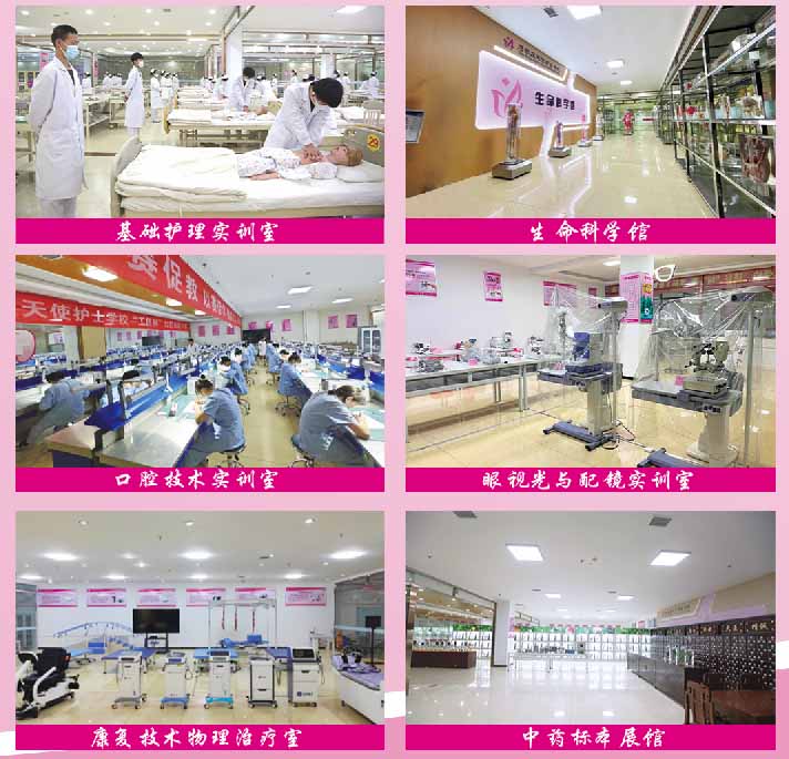 2026年春季石家莊天使護(hù)士學(xué)校招生簡(jiǎn)章