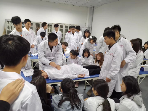 石家莊冀聯(lián)醫(yī)學(xué)中專學(xué)校中醫(yī)專業(yè)升學(xué)可以考哪些學(xué)校？