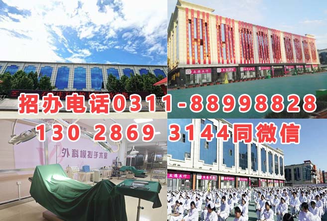 石家莊天使護(hù)士學(xué)校2026年招生分?jǐn)?shù)線是多少？