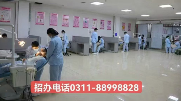 石家莊天使護士學(xué)校2026年秋季招生專業(yè)介紹（官方發(fā)布）
